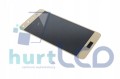 3c881fa8431fa7bb124fda850702