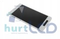 3798ce0e41e394db3197fec7012c